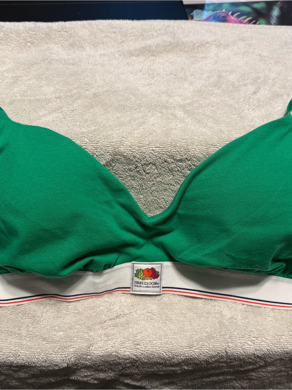 Fruit of the Loom Fresh Collection Green Wireless Bra – XXL